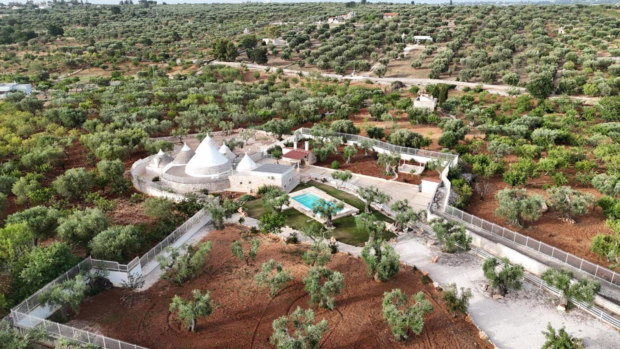 AntonelliTrulli Lisanna - Apulian Hideaway With Pool公寓 外观 照片